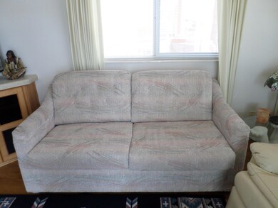 QUEEN SLEEPER/SOFA