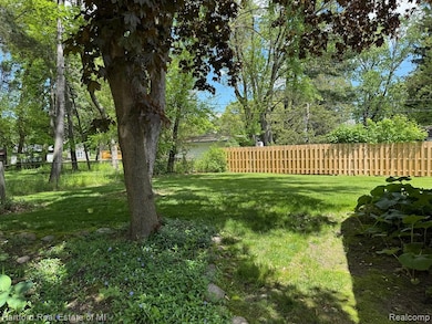 Back yard