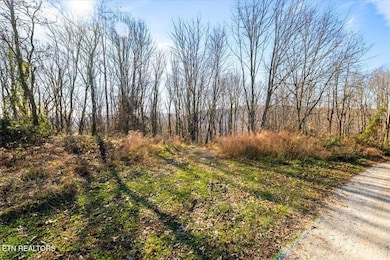 183 Persimmon Ln, Pioneer, TN 37847 - photo 2