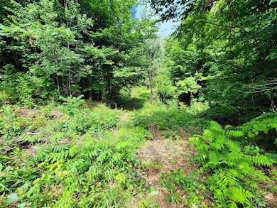 00 Eaton Ave, Springfield, VT 05156 - photo 5