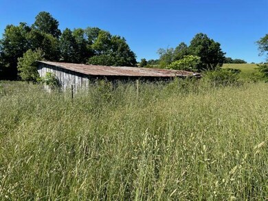 225 Kimbler Ln, Jamestown, KY 42629 - photo 5