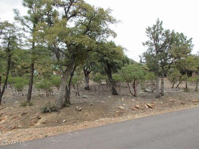 6530 W Ruin Hill Loop unit 150, Pine, AZ 85544 - photo 7