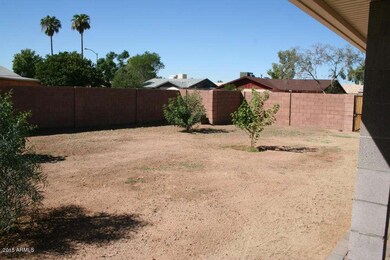 back patio 1