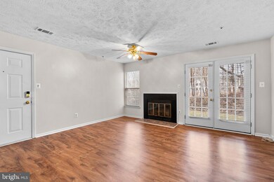 6435 Green Field Rd unit 1202, Elkridge, MD 21075 - photo 3