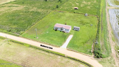 193 Mulberry Ln, Iota, LA 70543 - photo 2
