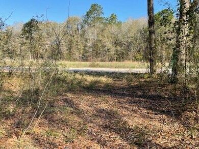 232 SW Stell Glen, Lake City, FL 32024 - photo 2