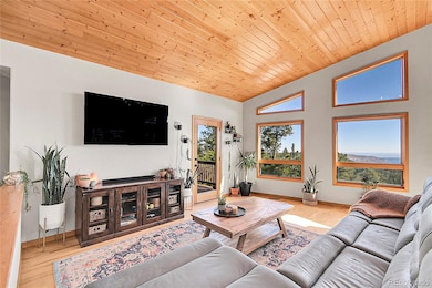 13382 Riley Peak Rd, Conifer, CO 80433 - photo 7