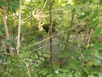 9515 Bethel Rd, Prospect, TN 38477 - photo 5