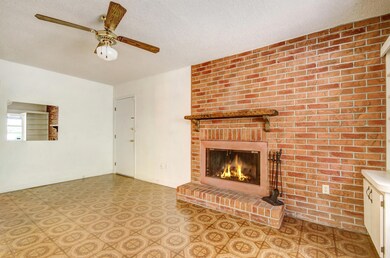 Wood Burning Fire Place