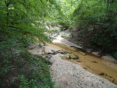 0 Highway 472 unit 1321431, Georgetown, MS 39078 - photo 3