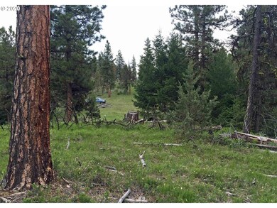 0 Bear Creek Elk unit 20026010, Prairie City, OR 97869 - photo 6