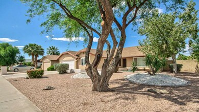 Easty Care Desert Landscape!