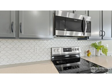 6233 Vernazza Way unit 4, Windsor, CO 80550 - photo 4