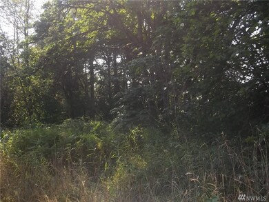 0 Spencer Rd unit 1180517, Salkum, WA 98564 - photo 5