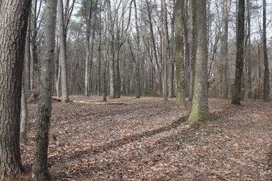 2 acres!