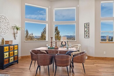 6745 Remington Rd, Como, CO 80432 - photo 4