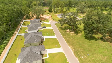 Aerial view of neighborhood