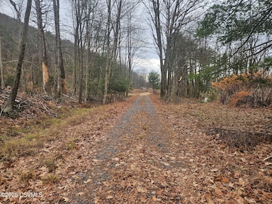 16 Spring Water Blvd, Brandonville, PA 17967 - photo 2