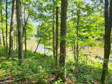 0 Helenwood Loop Rd unit 24289292, Helenwood, TN 37755 - photo 7