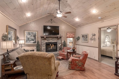 337 Branch Creek Rd, Blue Ridge, GA 30513 - photo 3