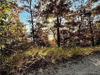 lot 17 Lake Horizons Rd, Gravois Mills, MO 65037 - photo 6