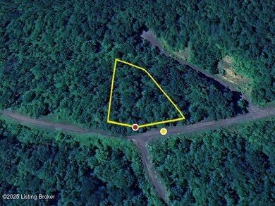 0 Ridenours Way GOOGLE AERIAL 2