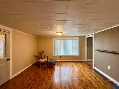 320 Webster St, Merrill, IA 51038 - photo 3