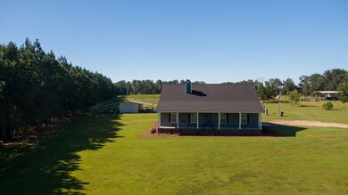 14183 Georgia 93, Baconton, GA 31716 - photo 5