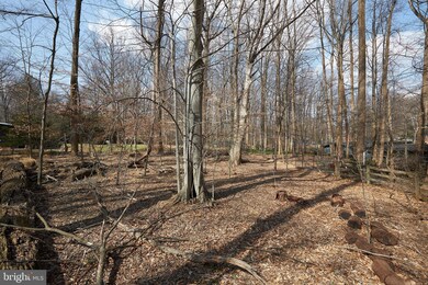 11001 Picasso Ln, Potomac, MD 20854 - photo 5