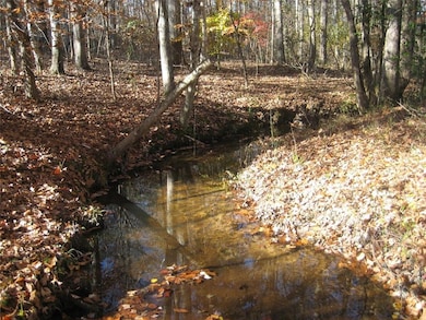 8050 Campbellton Redwine Rd, Palmetto, GA 30268 - photo 5