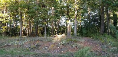 3157 Montclair Ct, Union, NC 27205 - photo 2