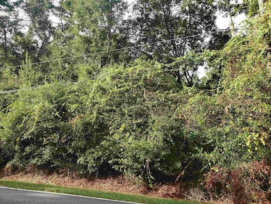 0 Lonnie Rd unit 392431, Tallahassee, FL 32308 - photo 2