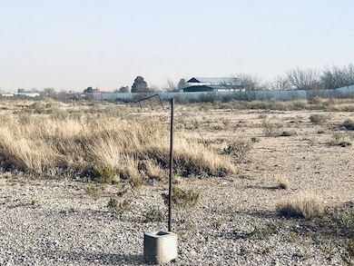 2147 N Crockett, Fort Stockton, TX 79735 - photo 6