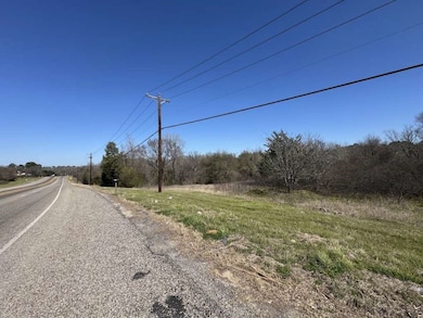 0 Highway 31 W, Tyler, TX 75709 - photo 4