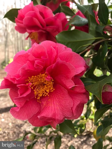 12681 Crossbow Dr, Manassas, VA 20112 - photo 5