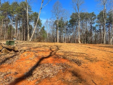 403 Ball Park Rd, Rocky Mount, VA 24151 - photo 3