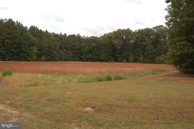 24713 Draper Loop, Georgetown, DE 19947 - photo 3