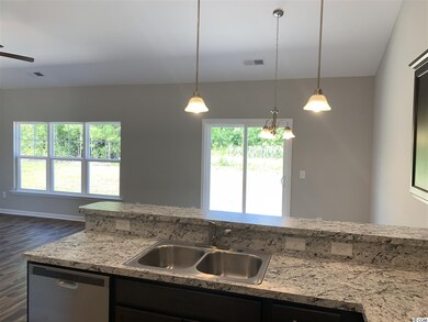 252 Maiden's Choice Rd unit Lot 14, Conway, SC 29527 - photo 4