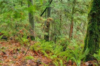 2909 144th St NW, Gig Harbor, WA 98332 - photo 7