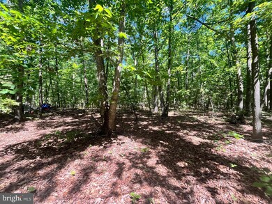 0 Elk Run Rd unit VAFQ2013556, Midland, VA 22728 - photo 5