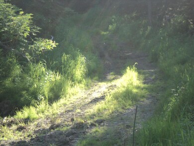 LOT 4 TRAIL