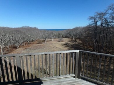 5 Beech Tree Ln, Aquinnah, MA 02535 - photo 2