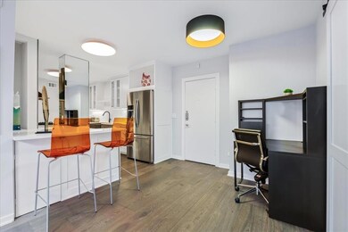 Kitchen featuring stainless steel fridge with ice