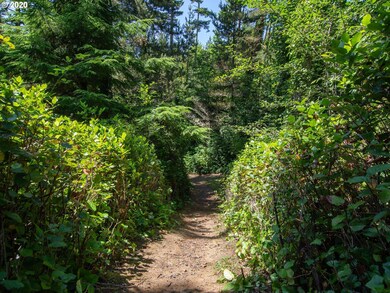beach trail