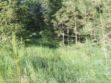 0 N Nikkoma Rd, Rathdrum, ID 83858 - photo 2