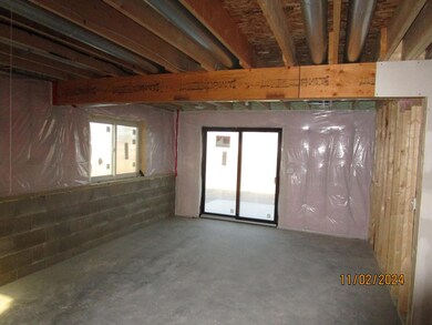 2006 Douglas Trail, Pine Island, MN 55963 - photo 6