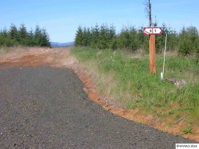 18390 Highway 22, Sheridan, OR 97378 - photo 3