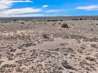 1031 Tascal Ct NE, Rio Rancho, NM 87144 - photo 4