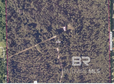 17505 Hansel Hodges Rd, Elberta, AL 36530 - photo 5