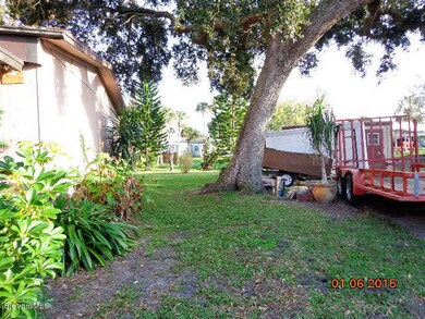Side Yard